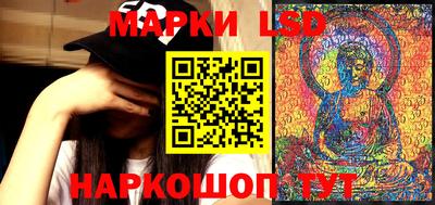 прущие грибы Краснознаменск