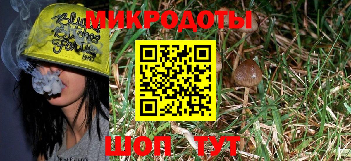 Псилоцибиновые грибы мухоморы Ефремов