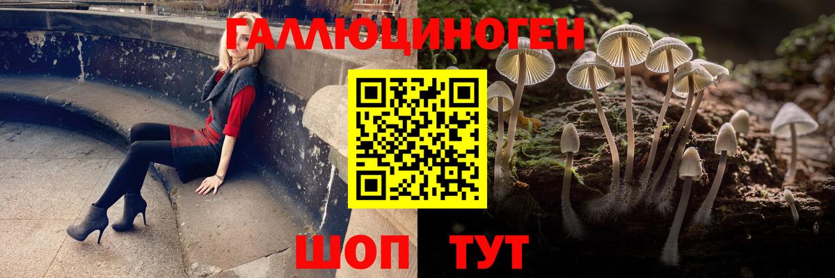 Псилоцибиновые грибы ЛСД  Вход с VPN  Ефремов 